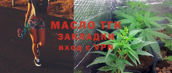 хмурый Арсеньев