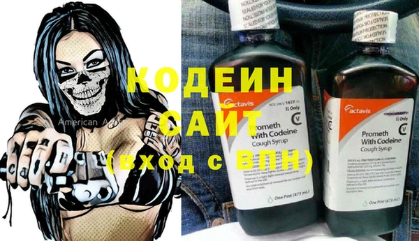 хмурый Арсеньев