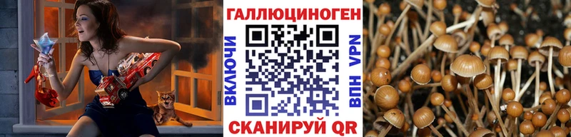 Псилоцибиновые грибы GOLDEN TEACHER  что такое наркотик  Камешково 